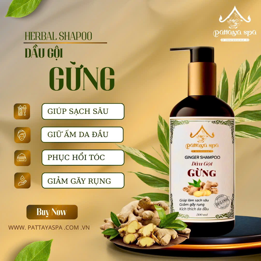 DẦU GỘI GỪNG